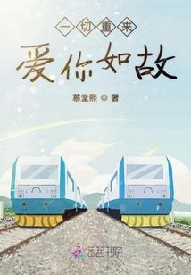 系统之怪盗