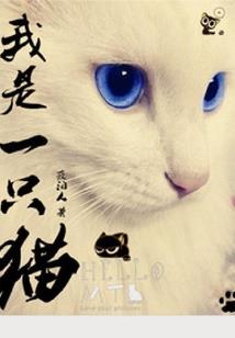 守护甜心之黑色的樱花