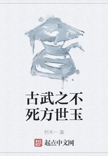 我的董事长老婆