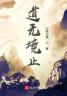 风鸟传