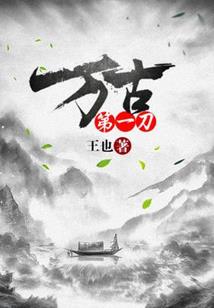 腹黑王妃,天才召唤师