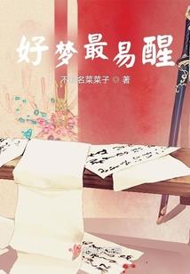 无节操