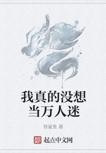 一把扇