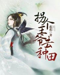 海贼王之火烈鸟
