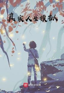 幻想之灵魂绝迹