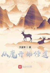 TF之我是穿越者