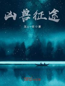 浅浅的说