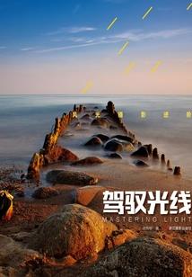狗狗观察日记