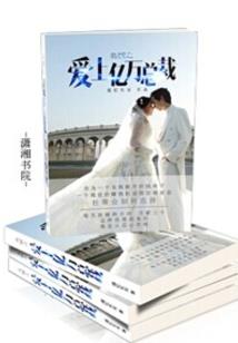 调皮公主的浪漫爱恋