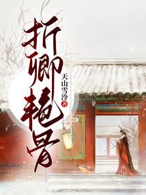 破案传奇