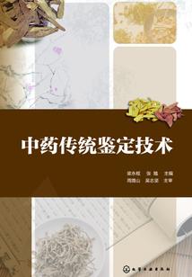 神风兽