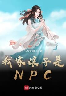 冷月寒星宫