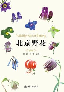 网游之神话风云