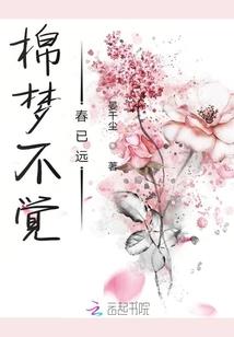 斗灵大陆之叶家大少