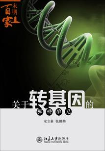 炁侠