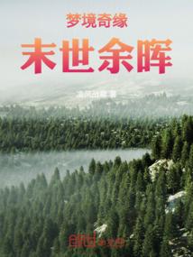 乱世铜炉之大宋春秋