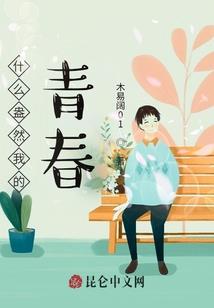 神奇宝贝：羁绊