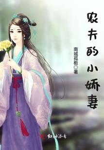 八零之军嫂成长记