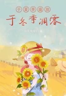 大光明骑士