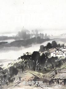 守护甜心之假面双子