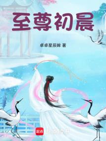 泡沫妃子系列：倾月太子妃【大结局】
