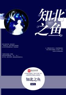 或许他的一生很灿烂