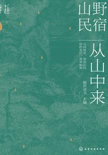 不完整的它