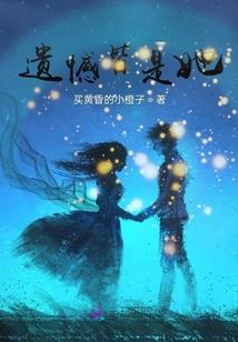 守卫系统