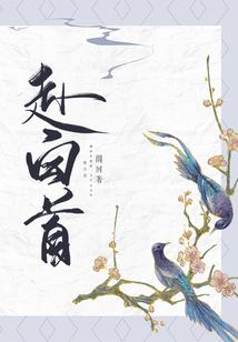 异界宝可梦
