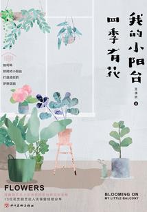 锡纸上的心跳回忆