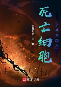 网游之玛法大陆