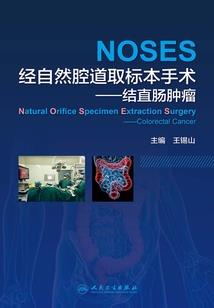 圣皇仙尊