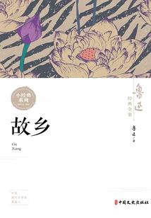 丑女追夫记