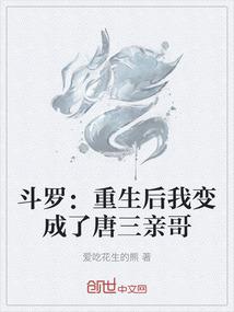 玄空大陆之冰魂天下