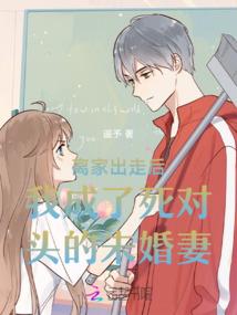海豹背纸鸢