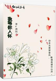 九圣风云录