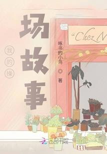 名为凤凰之泪