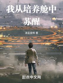 黑甲第二季
