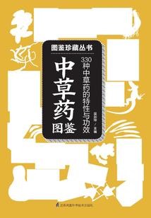 一念初心