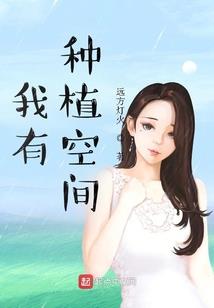 系统之涅槃