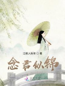 我是一面墙精