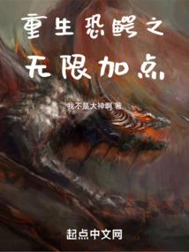异乡人纵横小城
