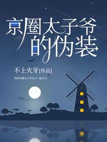 痴妃追夫（全本）