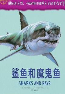 他是小星星