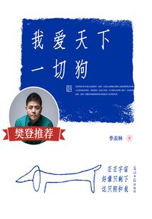 傲天升职位记