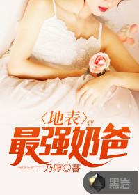 口袋妖怪之羁绊