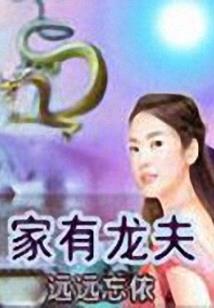 倾城冷妃之风华展天下