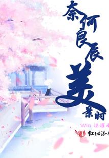 极品小子行天下