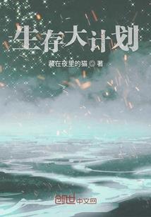 易术大演义