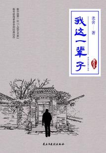 暗之帝王与光之王后